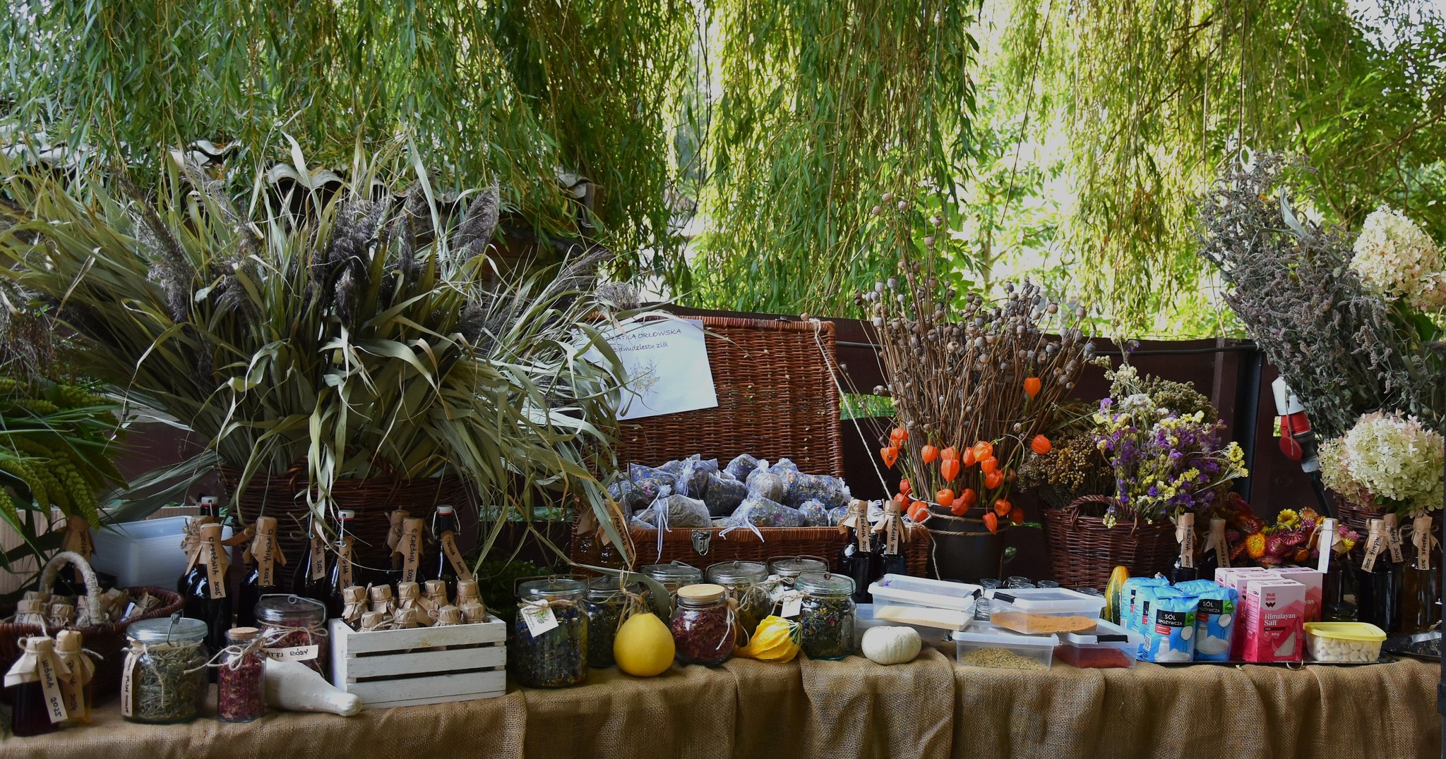 Kultura, Tradycja i... Placki 2025